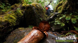 Mount Tambuyukon Expedition   